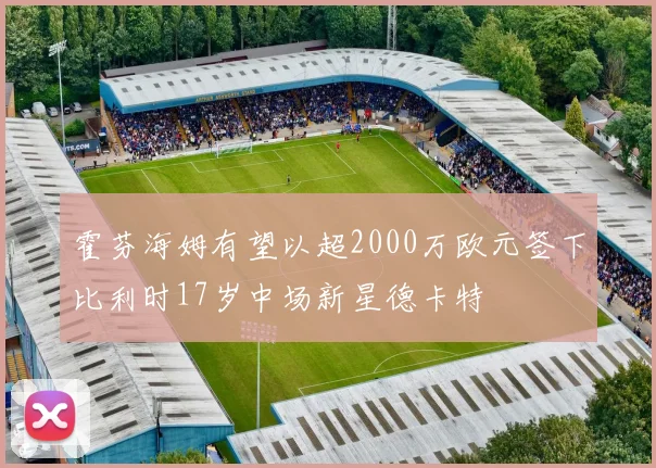 霍芬海姆有望以超2000万欧元签下比利时17岁中场新星德卡特