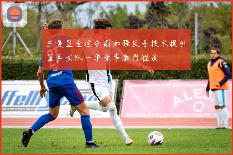王曼昱全运会前加强反手技术提升国乒女队一单竞争激烈程度